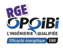 Logo RGE OPQIBI
